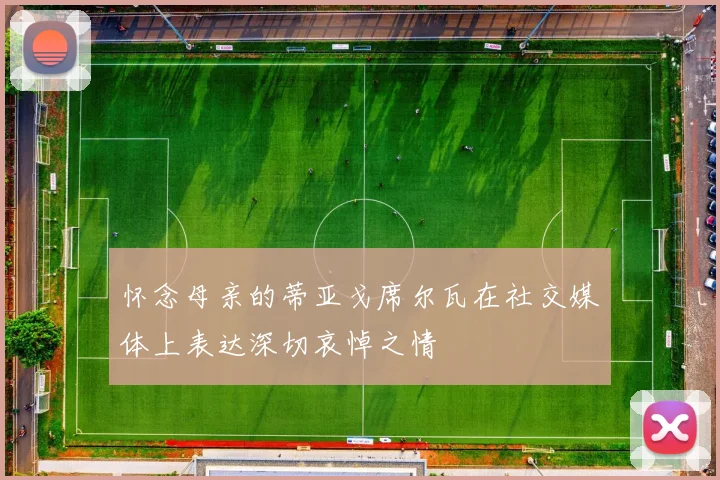 怀念母亲的蒂亚戈席尔瓦在社交媒体上表达深切哀悼之情